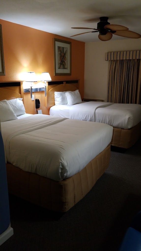 Room Image 2